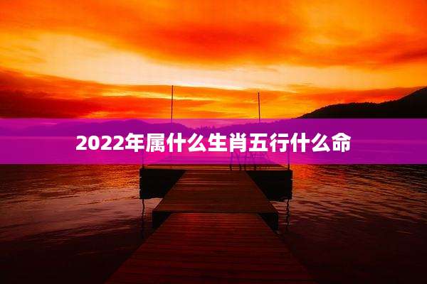 2022年属什么生肖五行什么命
