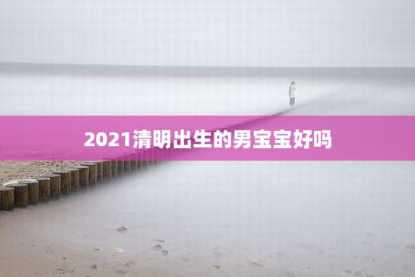 2021清明出生的男宝宝好吗