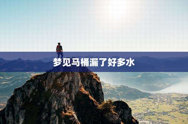 梦见马桶漏了好多水