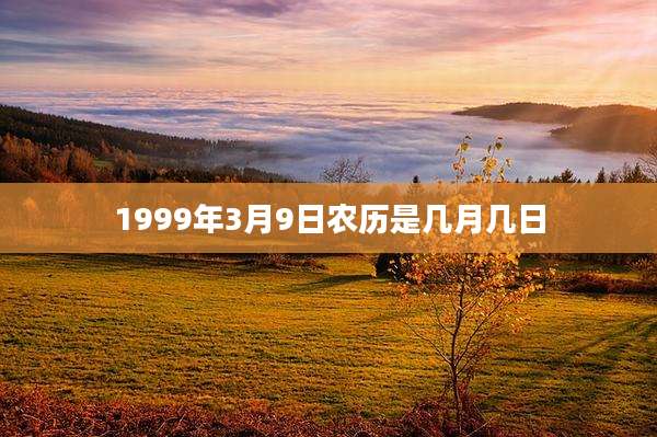 1999年3月9日农历是几月几日