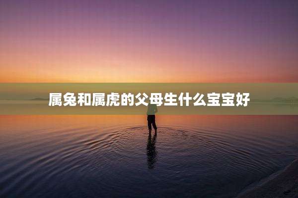 属兔和属虎的父母生什么宝宝好