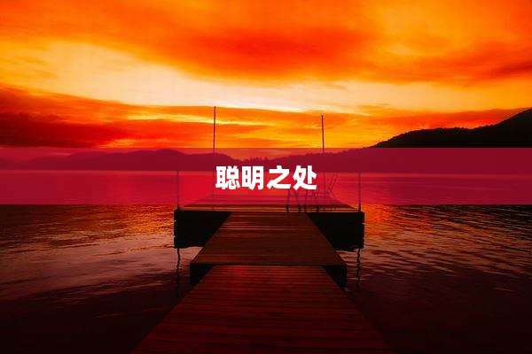 聪明之处