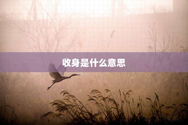 收身是什么意思