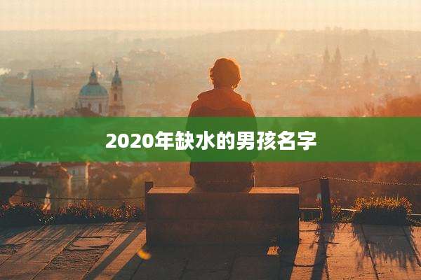 2020年缺水的男孩名字