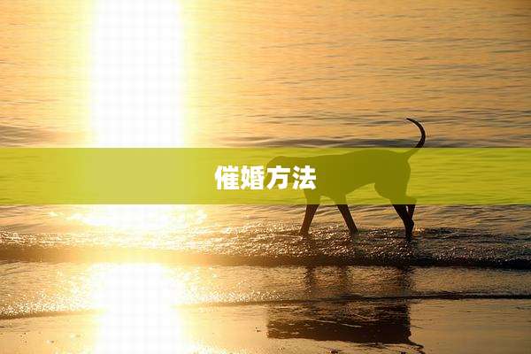 催婚方法