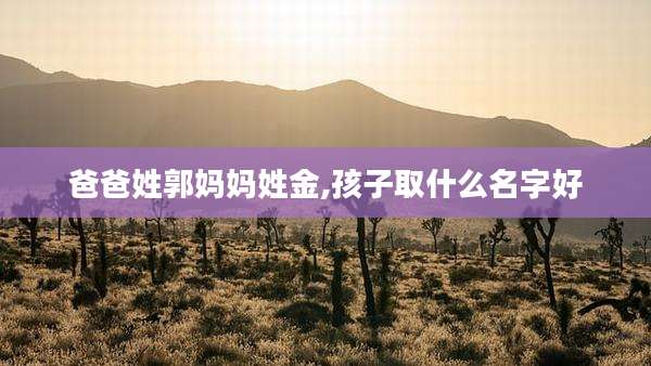 爸爸姓郭妈妈姓金,孩子取什么名字好