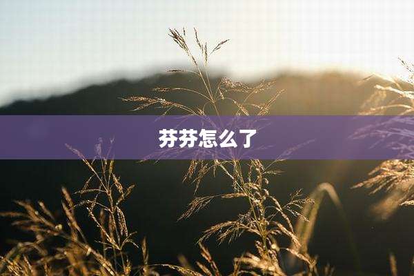 芬芬怎么了