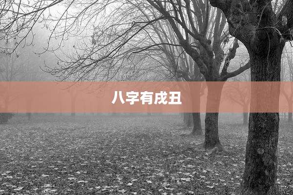 八字有戌丑