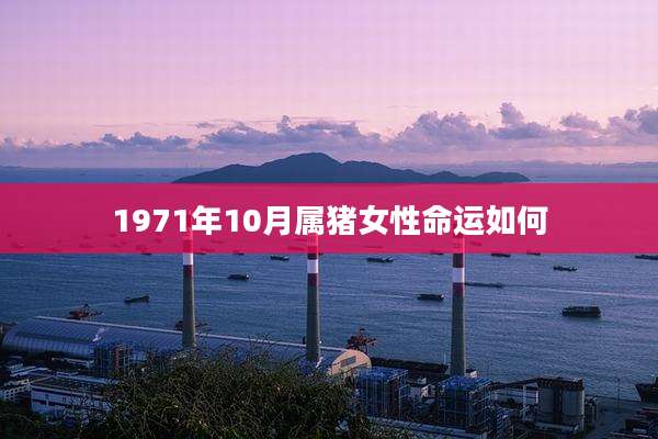1971年10月属猪女性命运如何