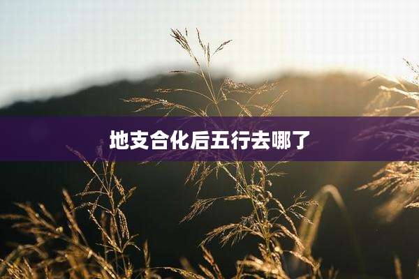地支合化后五行去哪了