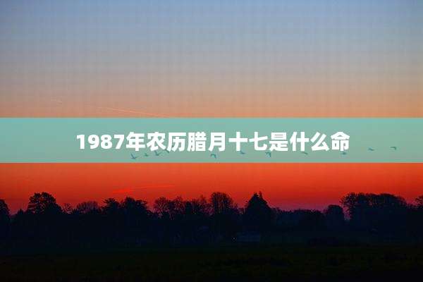 1987年农历腊月十七是什么命