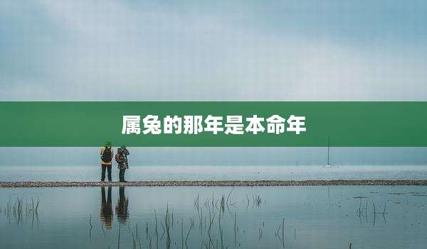 属兔的那年是本命年