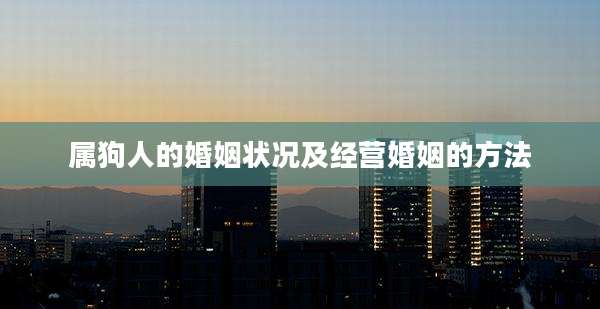 属狗人的婚姻状况及经营婚姻的方法
