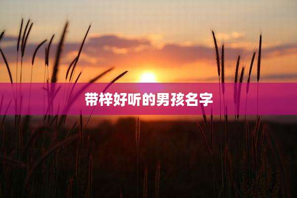 带梓好听的男孩名字
