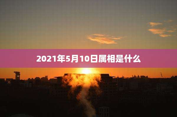 2021年5月10日属相是什么