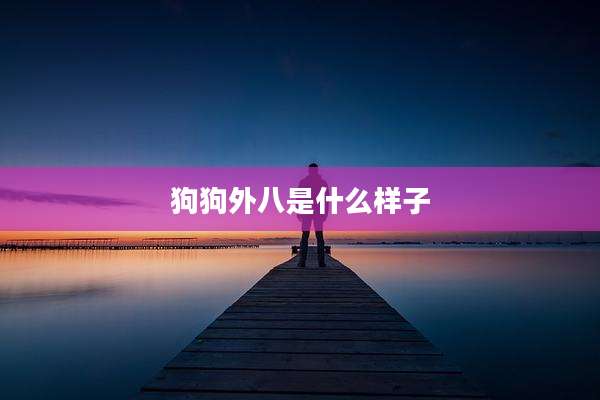 狗狗外八是什么样子