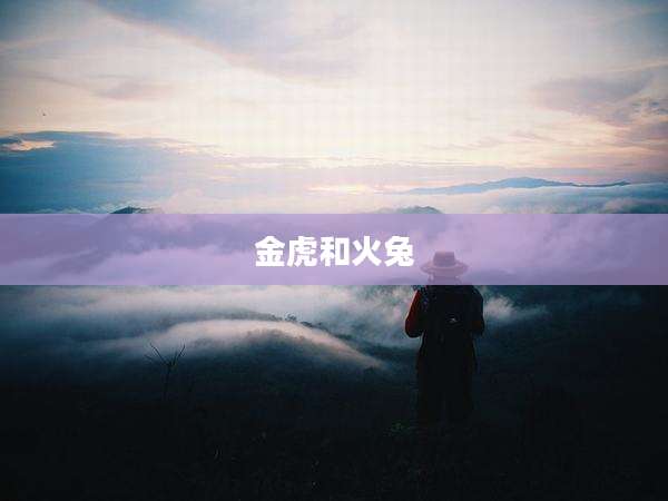 金虎和火兔