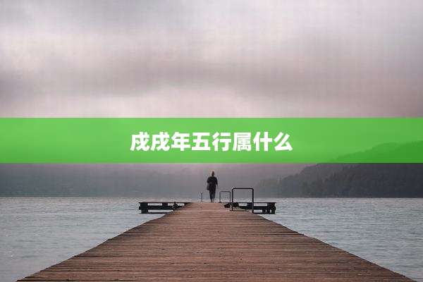 戍戌年五行属什么