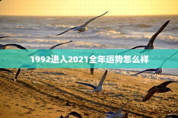 1992进入2021全年运势怎么样
