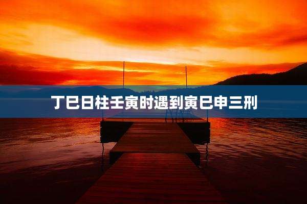 丁巳日柱壬寅时遇到寅巳申三刑