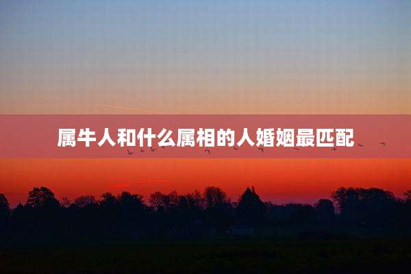 属牛人和什么属相的人婚姻最匹配