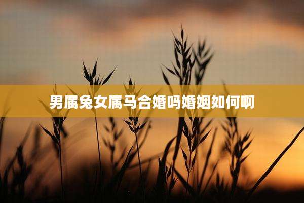 男属兔女属马合婚吗婚姻如何啊