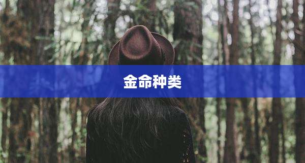 金命种类