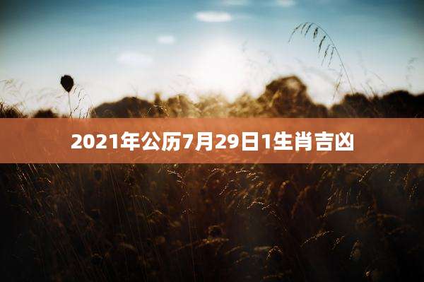 2021年公历7月29日1生肖吉凶