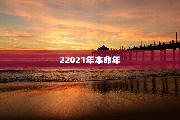 22021年本命年