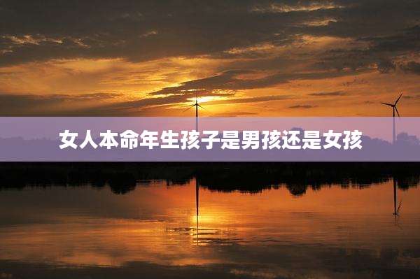 女人本命年生孩子是男孩还是女孩