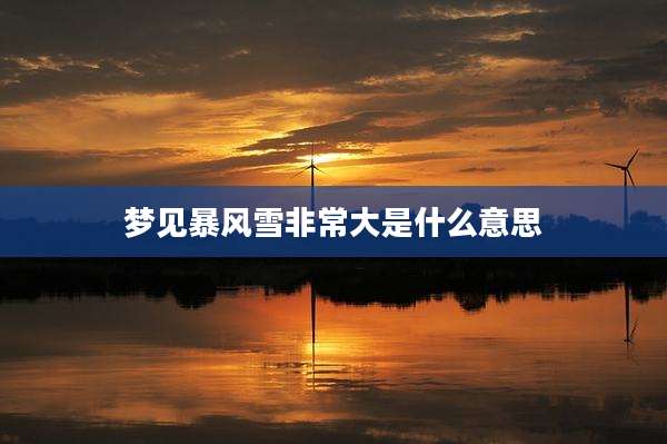 梦见暴风雪非常大是什么意思