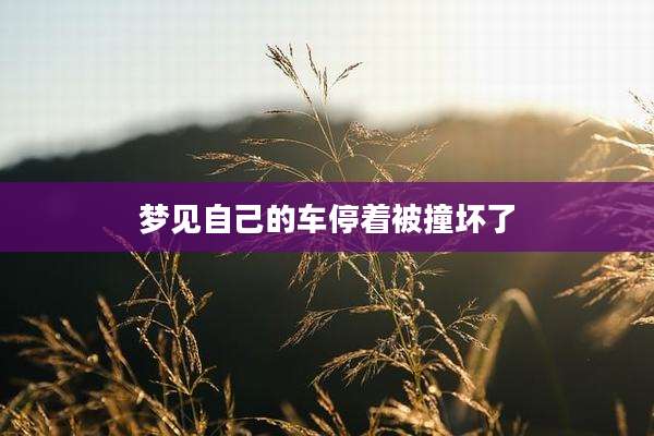 梦见自己的车停着被撞坏了