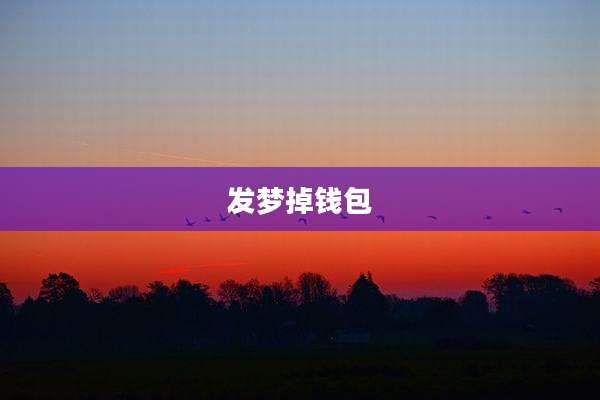 发梦掉钱包