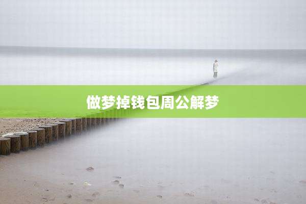 做梦掉钱包周公解梦