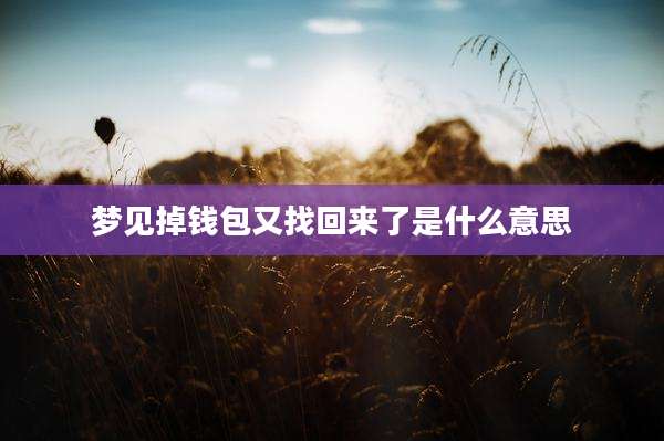 梦见掉钱包又找回来了是什么意思