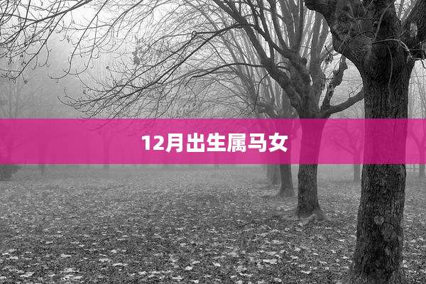 12月出生属马女