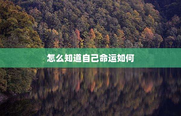 怎么知道自己命运如何