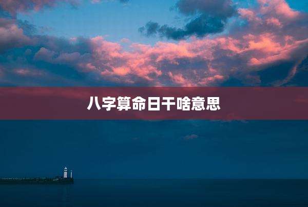 八字算命日干啥意思