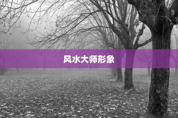 风水大师形象