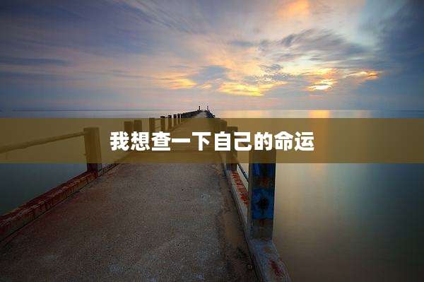我想查一下自己的命运