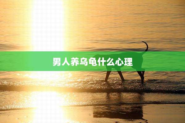 男人养乌龟什么心理