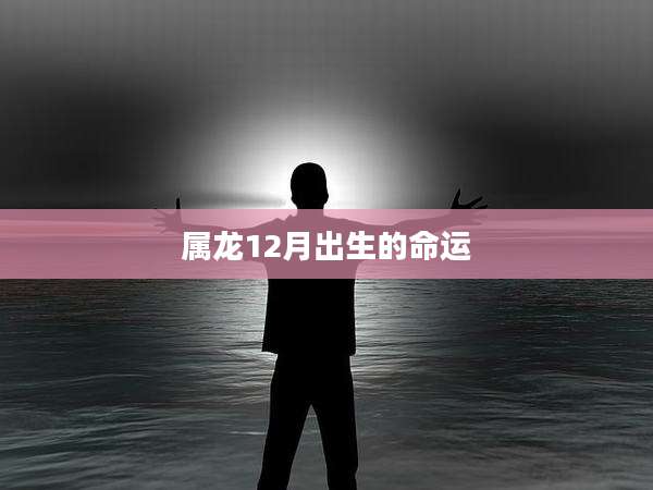 属龙12月出生的命运