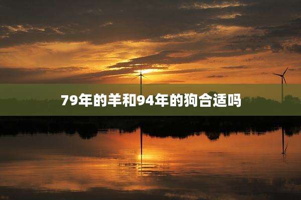79年的羊和94年的狗合适吗