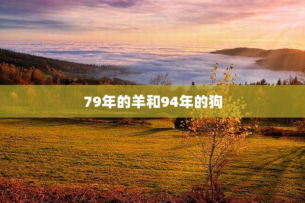 79年的羊和94年的狗