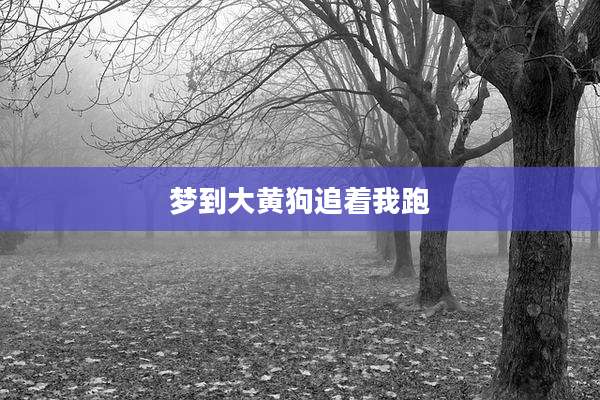 梦到大黄狗追着我跑