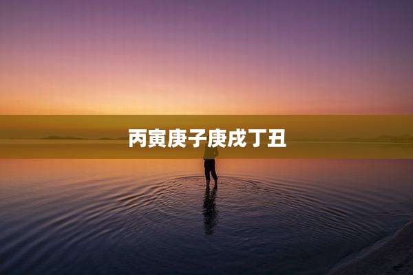 丙寅庚子庚戌丁丑