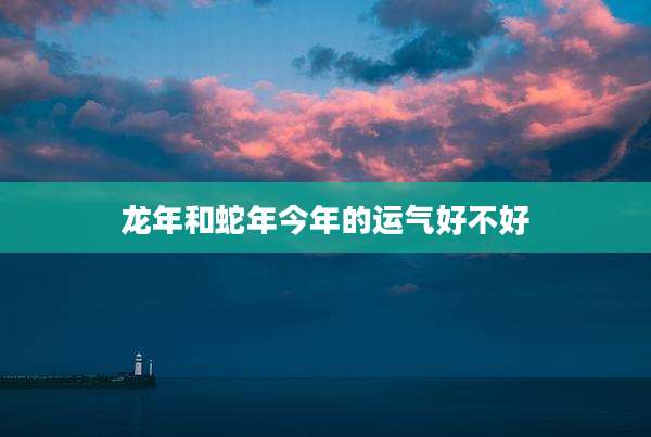 龙年和蛇年今年的运气好不好