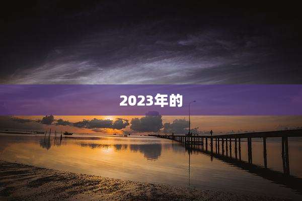 2023年的