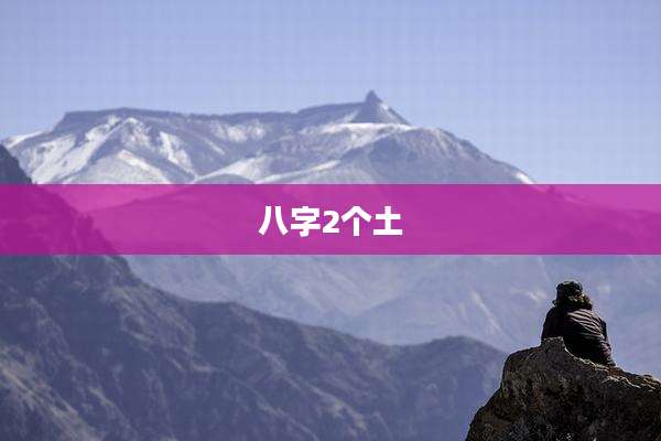 八字2个土