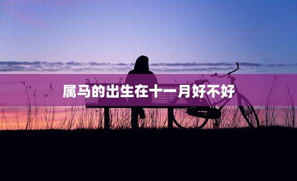 属马的出生在十一月好不好
